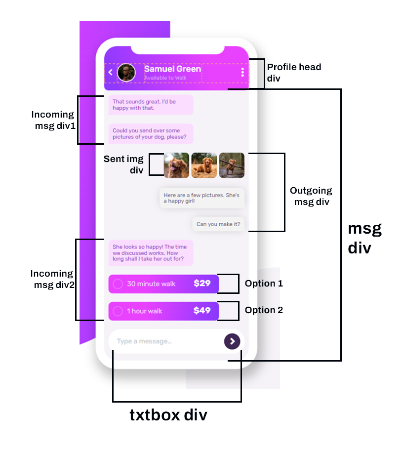 Image dissecting the divisions of the illustration component