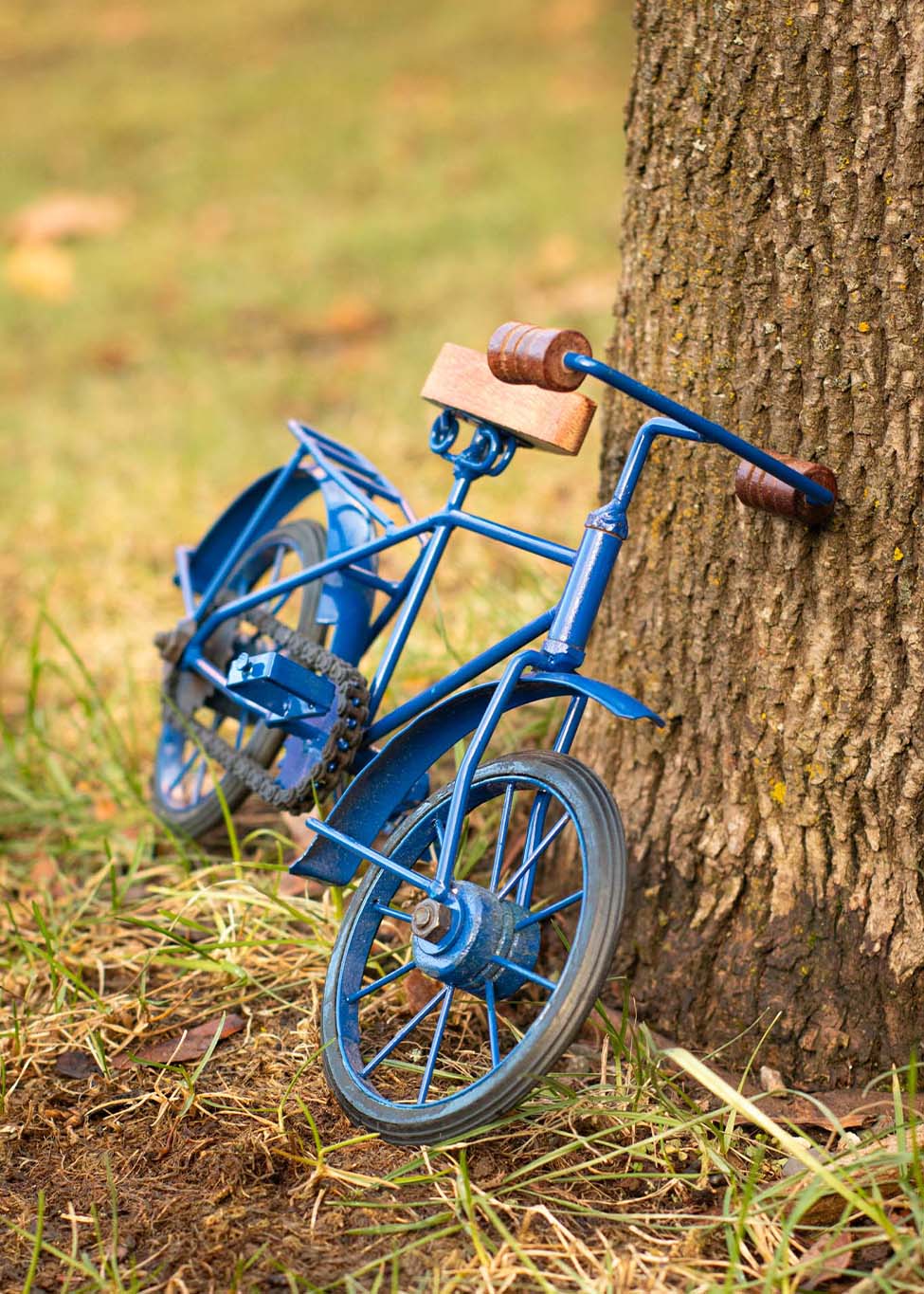 Bike Photo #4